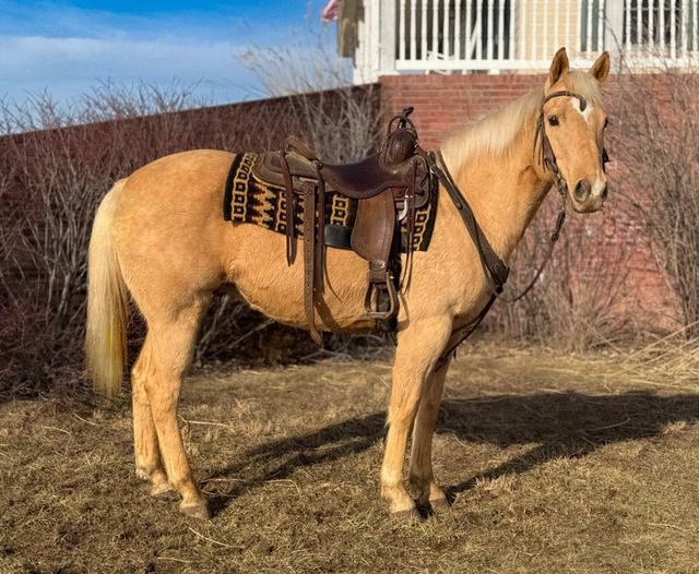 Remington
