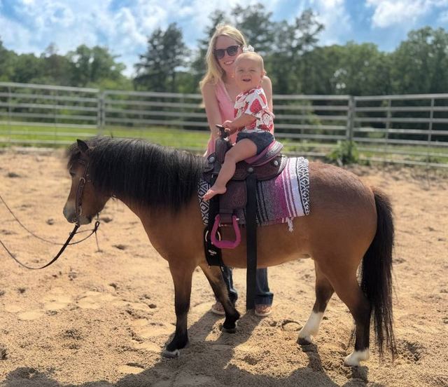 BUTTERCUP - BAY ROAN PONY MARE
