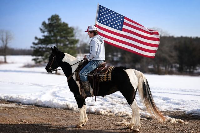 Dixie - Loud Colored Black & White Spotted Missouri Fox Trotter Mare